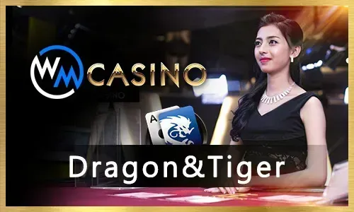Comprehensive Sports Betting Platform